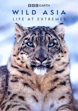 Wild Asia – 3D