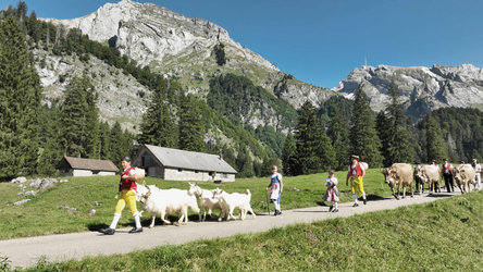 Klangkino Film & Vortrag mit Peter Roth zu Handwerk und Intuition