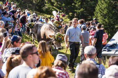 Alpabzug Flimsterstein Alpabzug Flimsterstein