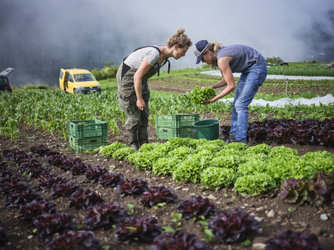 Klimagipfel für Landwirtschaft und Esskultur Klimagipfel für Landwirtschaft und Esskultur