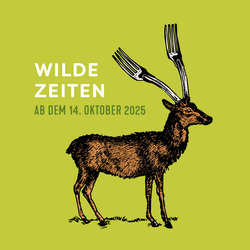 Wilde Zeiten im Provisorium46