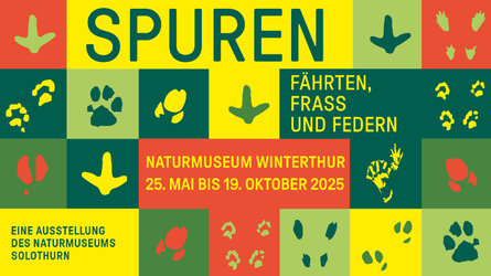 Spuren - Fährten, Frass und Federn
