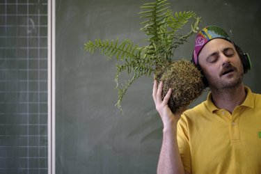 Théâtre Alambics: Arborescence programmée Deutsch