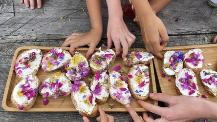 Kinder Wildkräuter Nachmittag