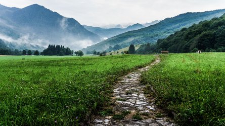Barfuss Kurs - mehr als richtig barfuss gehen und laufen lernen