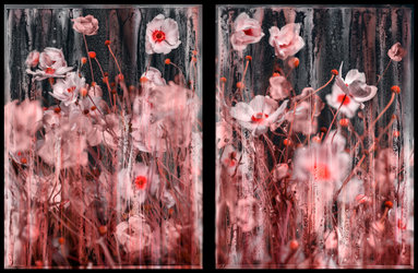 Arpad Polgar & Kim Schwanhaeusser - Sehnsucht - Nostalgia