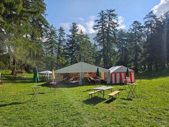 Transer Waldfest