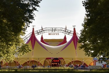 Circus Monti - Poussière d'étoiles