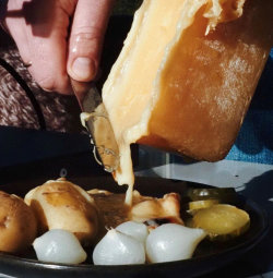 Raclette à gogo Raclette à gogo