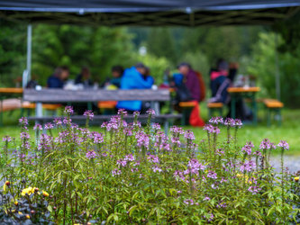 Sommerfest im Kirchner Museum