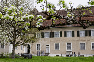 Vernissage: Sammlung Heiner Hoerni