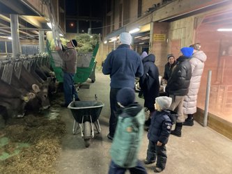 Stallvisite und Degustation regionaler Milchprodukte