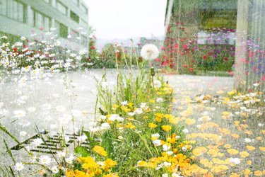 Fotoausstellung Urban Nature