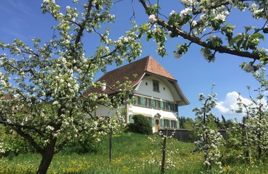 öffentliche Führung mit Gotthelf Kennerinnen und Kennern