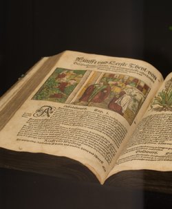 Öffentliche Führung - Museum für medizinhistorische Bücher Muri