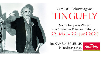 Werke von Jean Tinguely im Kambly Erlebnis Trubschachen