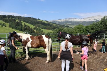 Sommerprogramm Skischule Sörenberg: Reiten