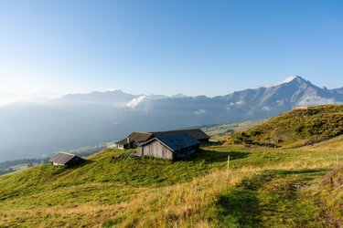 Alpfest Sarneralp