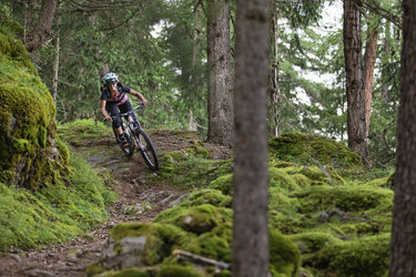 #patchific und #shredders – Kidskurse Sommer 2025