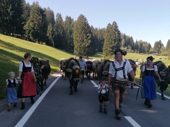 Alpabzug in Obersaxen Mundaun Alpabzug in Obersaxen Mundaun