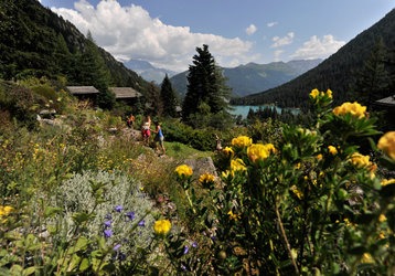 Fest der Natur