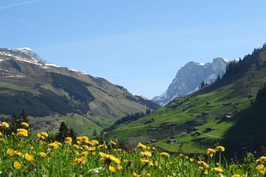 Grillnachmittag auf der Aschariner Alp