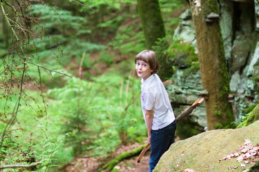 Ausgebucht: Kreativ-Atelier im Wald