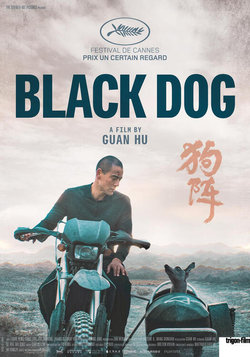 Drama Black Dog
