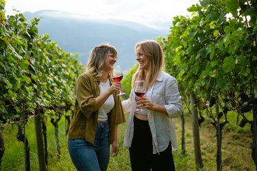 Rucksack-Weinprobe in der Bündner Herrschaft