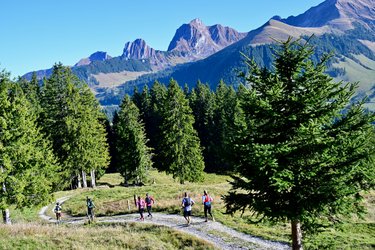 Trail & Zmorge – Trailrunning auf dem Gurnigel
