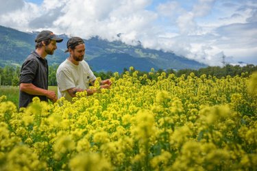 Davoser Menü – Vom Garten auf den Teller