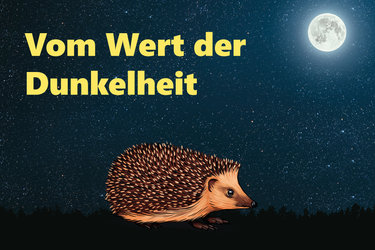 Nachtspaziergang 