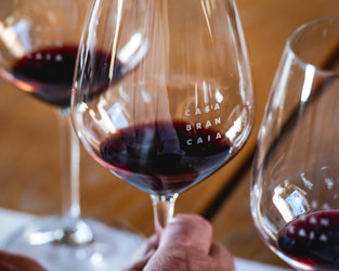 Wine and Dine: Brancaia meets Nova