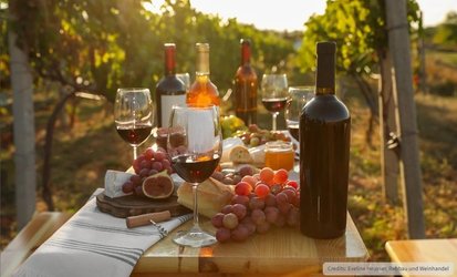 Weintavolata im Rebberg Uster