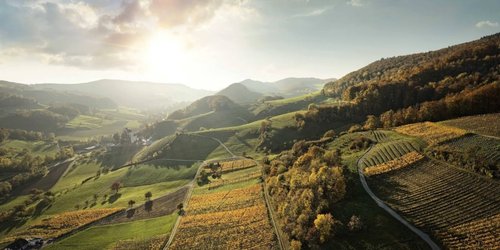 Degustation «Aargauer Weinmomente»