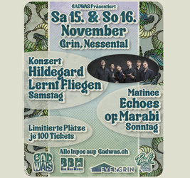 Hildegard Lernt Fliegen Live In der Konzert Werkstatt