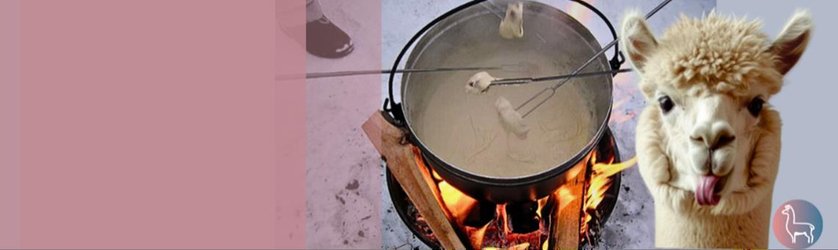 Fondue inmitten Alpakas - Bergdietikon bei Zürich