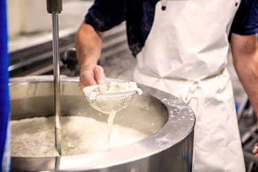 Selber einen Käse herstellen
