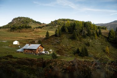 Gisula Tscharner erzählt: BRENNSESSEL — Königin der grünen Pflanzengesellschaft