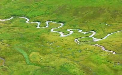 Das Rauschen des Wassers
