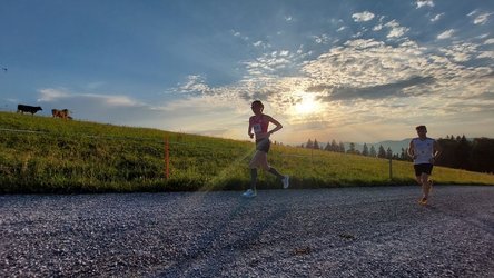 5-Tage-Berglauf-Cup, Farner Wald