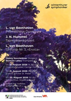 Sommerkonzert Winterthurer Symphoniker