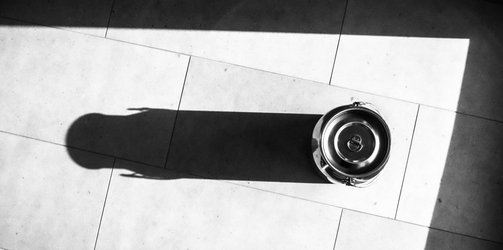 Eintauchen mit Seraina in ihre Welt des Schweizer Käses in Versam-Arezen Eintauchen mit Seraina in ihre Welt des Schweizer Käses in Versam-Arezen