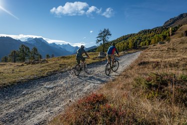 Entdeckungstour mit dem Mountainbike