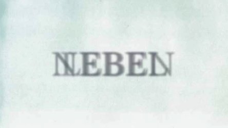 Auf Augenhöhe