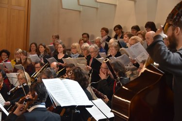 Die schöpfung: haydns oratorium