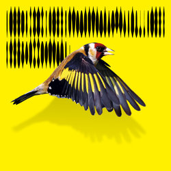 Erratum Musical : Nuit des Musées DE