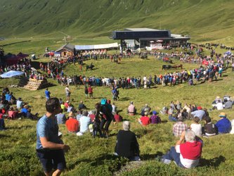 Alpauffahrt Eringer mit Stechfest