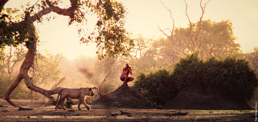 Explora präsentiert: Afrika extrem