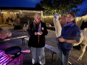 Fondue inmitten Alpakas